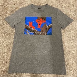 Marvel Spiderman Meme Unisex Tee Shirt